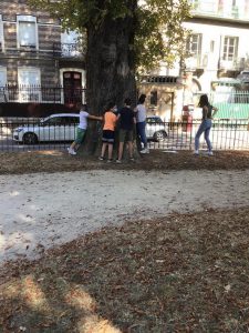 Projet-environnement-5eme--02