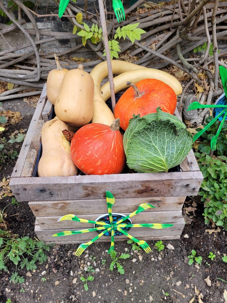 caisse légumes