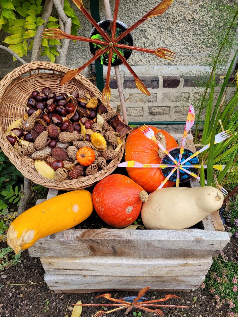 legumes 2