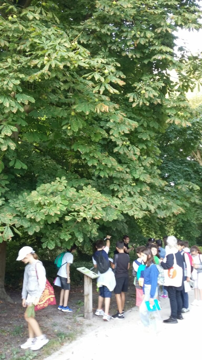 IMG-20230915-WA0005