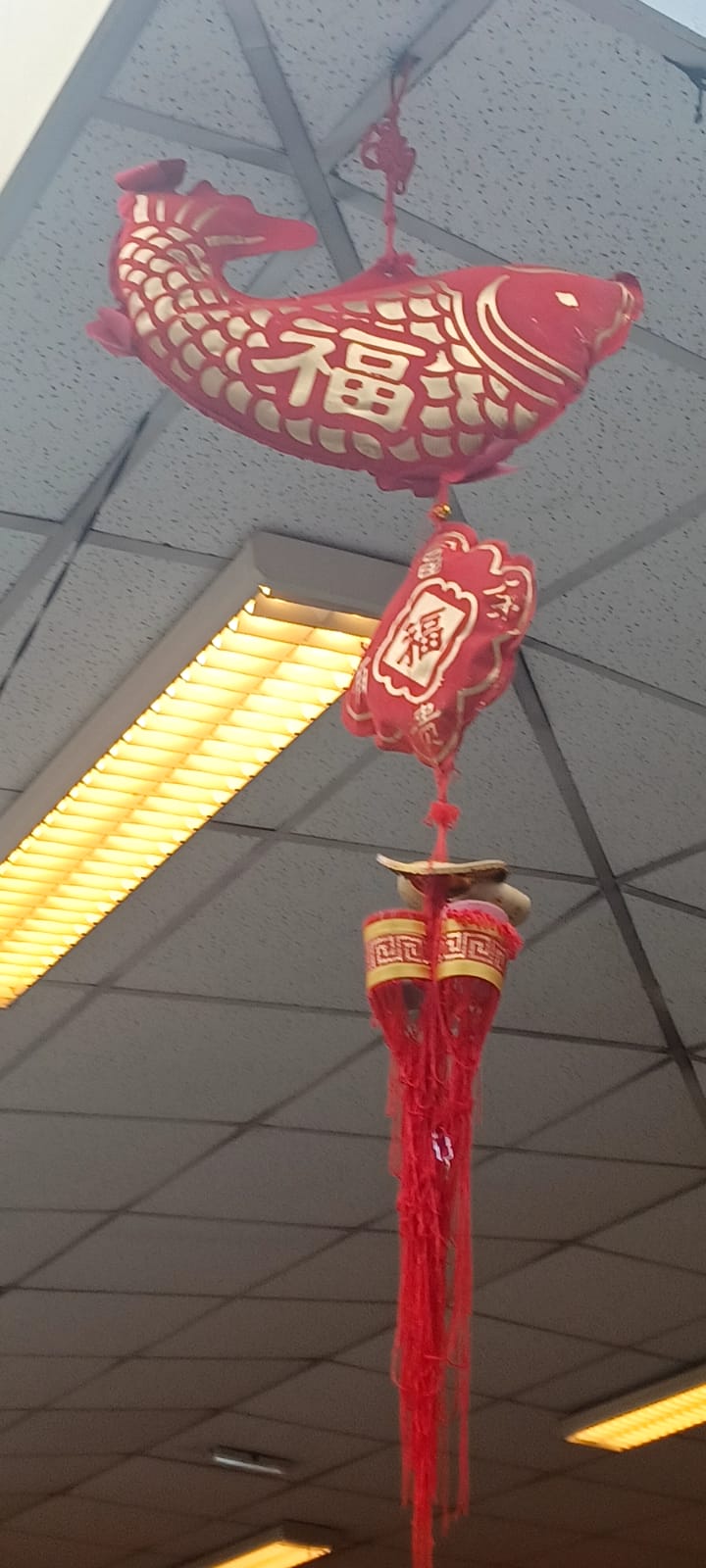 IMG-20231123-WA0026