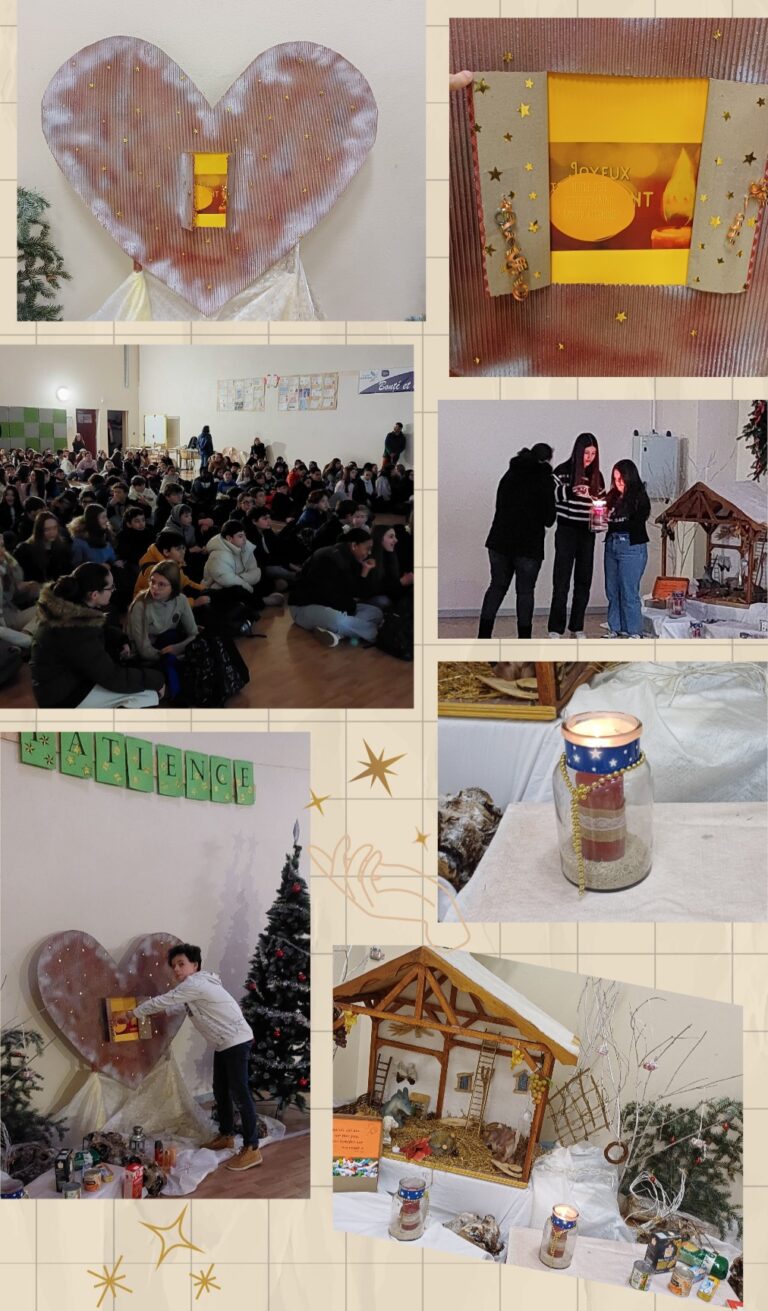 Collage_2024-12-03_08_46_19